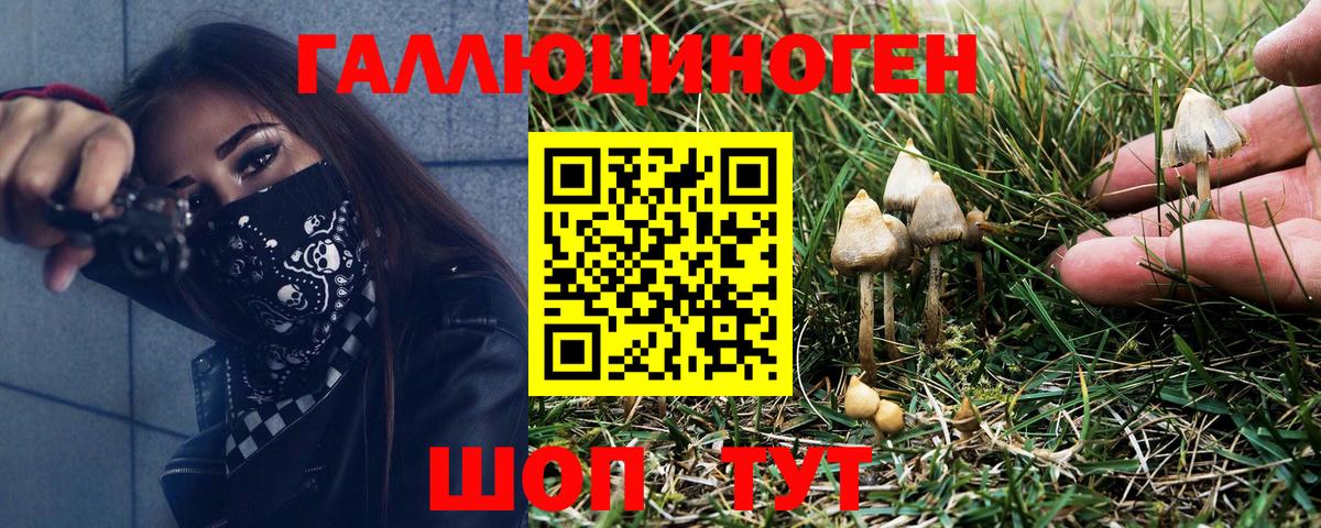 Псилоцибиновые грибы Psilocybe  Вход с VPN  Тула 