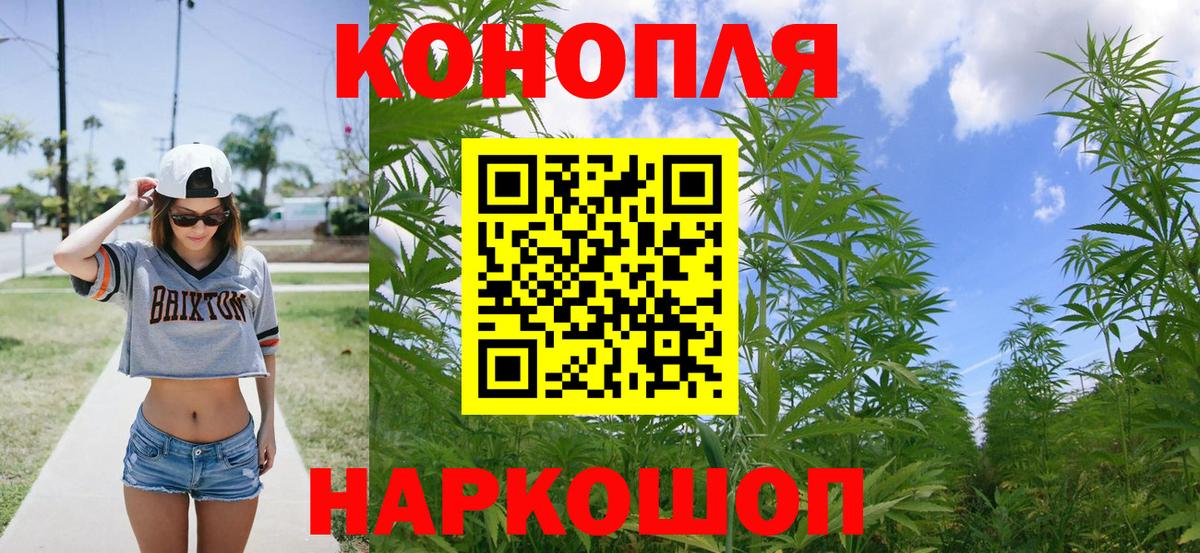 Каннабис Bruce Banner Тула
